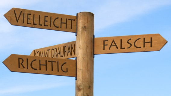 Wooden signpost with the inscriptions "perhaps", "incorrect", "correct" and "it depends".  © Chris_pl/fotolia Photo: Chris_pl