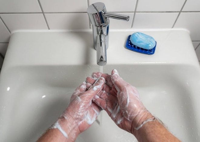 Already washed today?  A short history of cleanliness