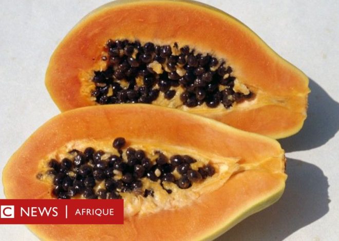 Nutrition: What to remember about the nutritional values ​​of papaya