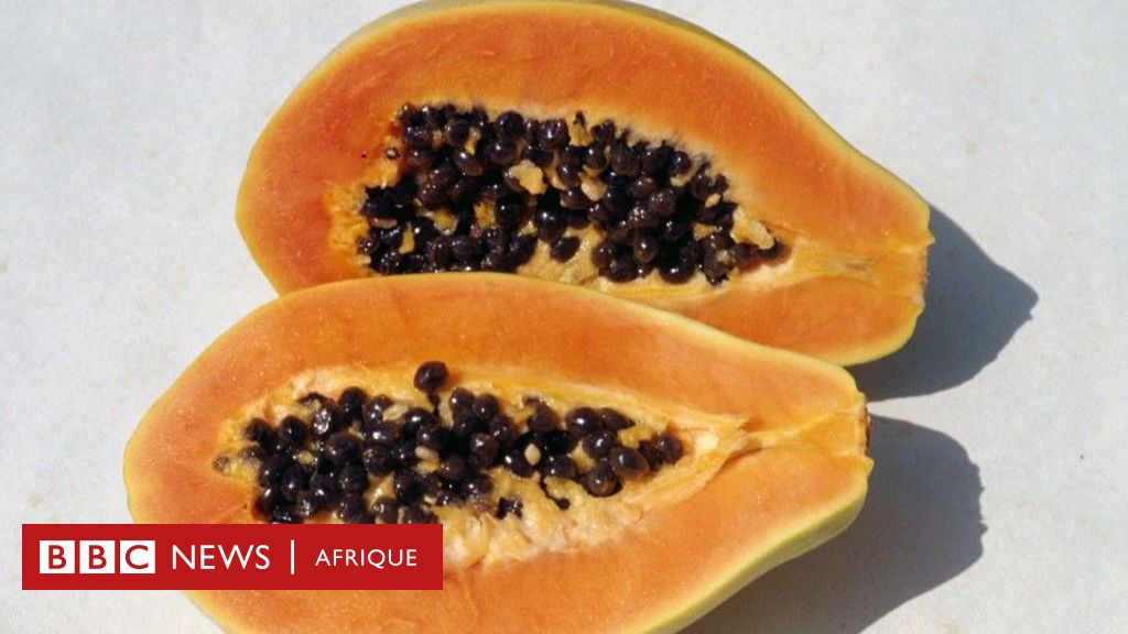 Nutrition: What to remember about the nutritional values ​​of papaya