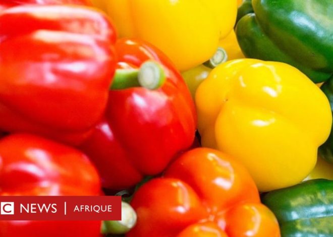 Nutrition: the health benefits of chili pepper
