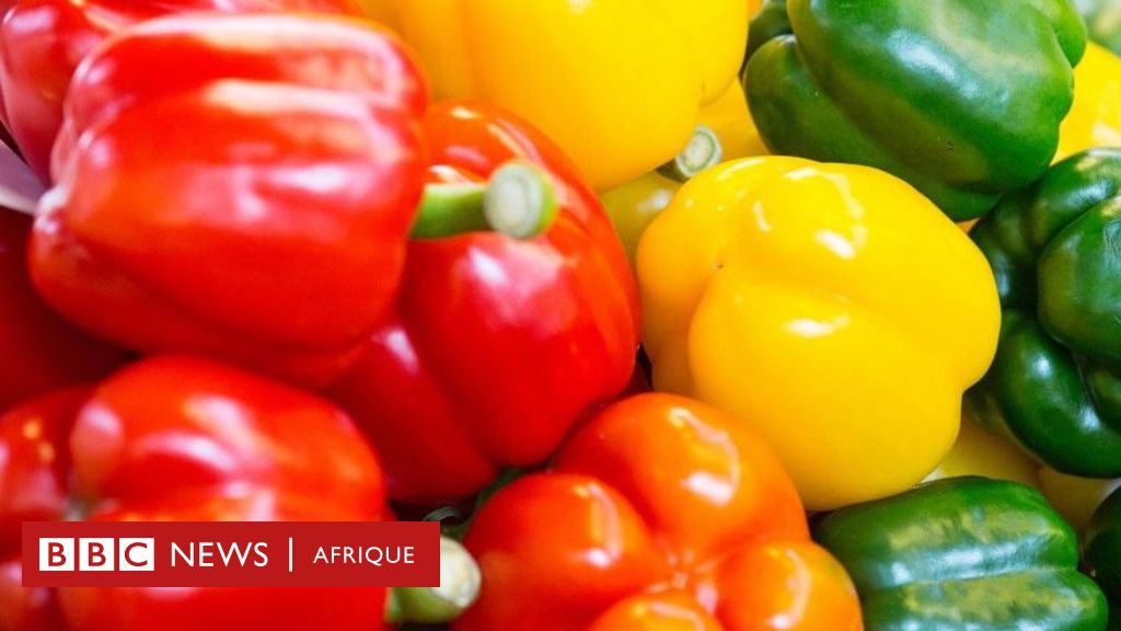 Nutrition: the health benefits of chili pepper